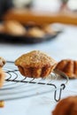 Homemade banana muffins in front of window Royalty Free Stock Photo