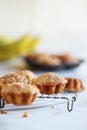 Homemade banana muffins on rustic antique bakers rack Royalty Free Stock Photo