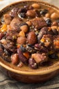 Homemade Barbecue Baked Beans Royalty Free Stock Photo