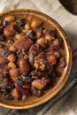 Homemade Barbecue Baked Beans Royalty Free Stock Photo