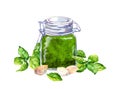 Homemade basil pesto sauce in glass jar with fresh basil leaves and garlic. Watercolor food Royalty Free Stock Photo