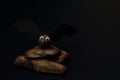 Homemade bat made of pine cones and black cardboard on a natural tree, black background. Symbolic concept - ÃÂalloween, tradition