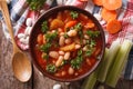 Homemade bean soup, carrots and celery close-up. horizontal top
