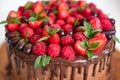 Homemade beautiful chocolate cake with raspberries, strawberries, mint, grapes