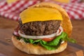 Home-made Burger and French Fries Royalty Free Stock Photo