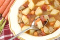 Homemade Beef Stew Royalty Free Stock Photo