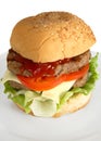 Homemade beefburger Royalty Free Stock Photo