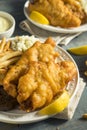 Homemade Beer Battered Fish Fry Royalty Free Stock Photo