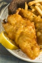 Homemade Beer Battered Fish Fry Royalty Free Stock Photo