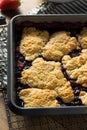Homemade Berry Cobbler with Ice Cream Royalty Free Stock Photo
