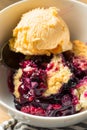 Homemade Berry Cobbler with Ice Cream Royalty Free Stock Photo