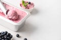 Homemade berry ice cream in metal tube container on white. Royalty Free Stock Photo