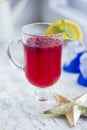 Homemade Berry winter drink with spicy