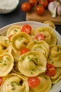 Homemade big tortellini Royalty Free Stock Photo