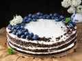 Homemade bird cherry cake with sour cream, decorated with blueberries and mint leaves on baking paper. Closeup