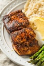 Homemade Blackened Mahimahi White Fish Royalty Free Stock Photo