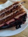 Homemade blueberry cake, Czech Republic (EU)