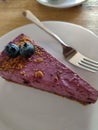Homemade blueberry cheesecake, Czech Republic (EU)