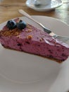 Homemade blueberry cheesecake, Czech Republic (EU)