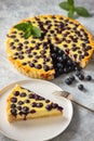 Homemade blueberry custard tart on light background. Royalty Free Stock Photo