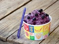 Homemade blueberry ice cream or sorbet served in a paper glass Royalty Free Stock Photo