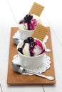 Homemade blueberry ice cream