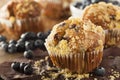 Homemade Blueberry Muffins for Breakfast Royalty Free Stock Photo