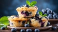 Homemade blueberry muffins easy recipe concept on blurred defocused background with copy space