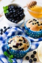 Homemade blueberry muffins with fresh berries, honey and lemon Royalty Free Stock Photo