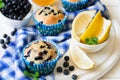 Homemade blueberry muffins with fresh berries, honey and lemon Royalty Free Stock Photo