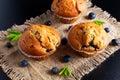 Homemade Blueberry Muffins with fresh berries and mint Royalty Free Stock Photo