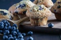 Homemade Blueberry Muffins with Fresh Berries Royalty Free Stock Photo