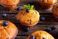 Homemade Blueberry Muffins with fresh berries on wooden table. Royalty Free Stock Photo