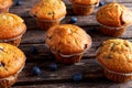 Homemade Blueberry Muffins with fresh berries on wooden table. selected focus Royalty Free Stock Photo