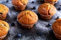 Homemade Blueberry Muffins with fresh berries on wooden table. selected focus Royalty Free Stock Photo