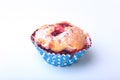 Homemade Blueberry muffins with powdered sugar and fresh berries. Royalty Free Stock Photo