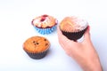 Homemade Blueberry ore chocolate muffins with powdered sugar and fresh berries in woman hand. Royalty Free Stock Photo