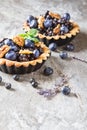 Homemade blueberry pie with mint lavender. gray stone table