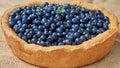 Homemade blueberry pie ready to eat. Summer tart with fresh berries