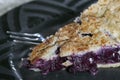 Homemade blueberry pie sreved on a plate
