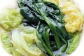 Homemade boiled vegetables of spinach and cabbage, healthy gourmet food recipe