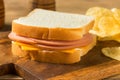 Homemade Bologna and Cheese Sandwich