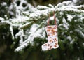 Homemade boot shaped little peanuts cake, bird feeder, hanging on a fir branch in the winter garden. Royalty Free Stock Photo