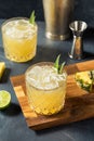 Homemade Boozy Pineapple Margarita