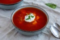 Homemade Borscht Soup with Horseradish Sauce in a Bowl, side view