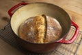 Homemade boule round loaf of freshly baked sourdough bread in a red Dutch oven Royalty Free Stock Photo