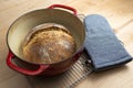 Homemade boule round loaf of freshly baked sourdough bread in a red Dutch oven Royalty Free Stock Photo