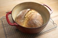 Homemade boule round loaf of freshly baked sourdough bread in a red Dutch oven Royalty Free Stock Photo