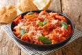 Homemade braised tripe in tomato sauce with cheese and herbs close-up in a plate. horizontal