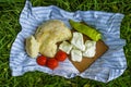 Homemade bread,cheese,paprika and tomato on the grass Royalty Free Stock Photo